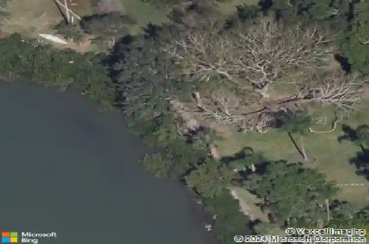 1874 stevenson ave, clearwater,  FL 33755