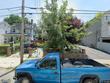  staten island,  NY 10301