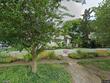 325 11th ave ne, saint petersburg,  FL 33701
