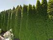 8827 se knapp st, portland,  OR 97266