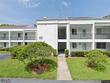 2060 marilyn st, unit 114, clearwater,  FL 33765