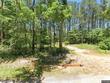 1181 centerville rd, soso,  MS 39480