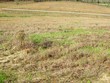  ellisville,  MS 39437