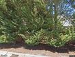 4813 nw blandy ter, portland,  OR 97229