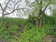 3329 sw 209th ave, hillsboro,  OR 97123