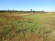  ellisville,  MS 39437