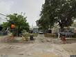 4902 46th ave n, saint petersburg,  FL 33709