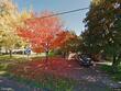 124 w johanna ct, newberg,  OR 97132