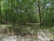 10727 hummingbird rd, gravette,  AR 72736