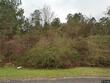 14 rabbit trl, hattiesburg,  MS 39402