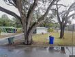 1401 paloma ln, dunedin,  FL 34698