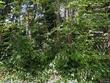19375 sw eastside rd, lake oswego,  OR 97034