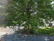 15463 nw andalusian way, portland,  OR 97229