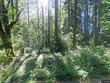 18031 se 370th ave, sandy,  OR 97055