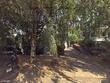 3924 n concord ave, portland,  OR 97227