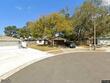 1020 vineyard ct, dunedin,  FL 34698