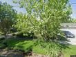 3725 ne 72nd ave, portland,  OR 97213