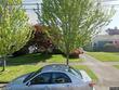 4430 ne 79th ave, portland,  OR 97218