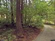 26165 nw grist mill dr, north plains,  OR 97133