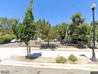 445 pine meadows dr, sparks,  NV 89431
