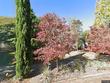 7243 n hurst ave, portland,  OR 97203