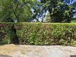 2510 mills ln, forest grove,  OR 97116