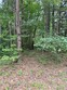 720 john henry brown rd, halifax,  VA 24534