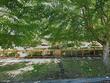 1735 filbert st, forest grove,  OR 97116