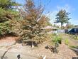 16841 se mill st, portland,  OR 97233