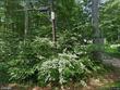 264 steppingstone rd, nottingham,  NH 03290