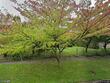 5515 n oberlin st, portland,  OR 97203