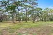 206 tarpon pt, tarpon springs,  FL 34689