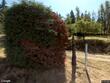 4770 se 140th ave, portland,  OR 97236