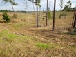  ellisville,  MS 39437