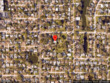 1618 valencia st, clearwater,  FL 33756