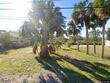 724 seminole blvd, tarpon springs,  FL 34689