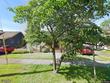 7035 ne klickitat st, portland,  OR 97213