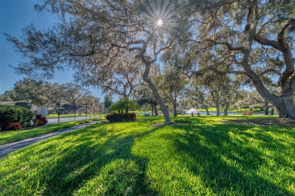 2107 pinnacle cir s, palm harbor,  FL 34684