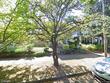 5018 n vanderbilt st, portland,  OR 97203