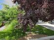 383 rue de la rouge, sparks,  NV 89434