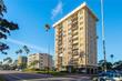 1120 n shore drive ne
                                ,Unit 903, st petersburg,  FL 33701