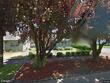 5710 n delaware ave, portland,  OR 97217