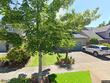 22668 sw verdant ter, sherwood,  OR 97140