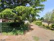 400 sw 3rd st, dundee,  OR 97115