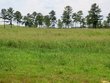 8 jo road, ellisville,  MS 39437