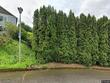 8300 nw reed dr, portland,  OR 97229