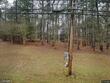 1643 s 40th ave, hattiesburg,  MS 39402