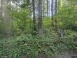 3708 ne 292nd ave, camas,  WA 98607