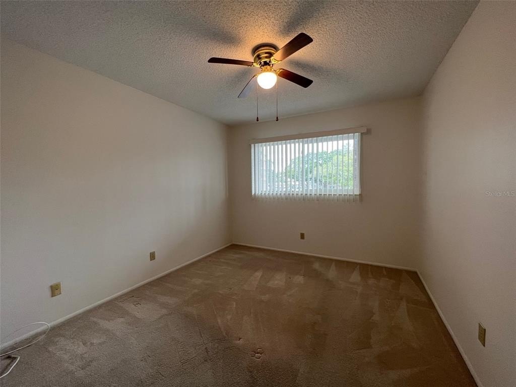 2461 rhodesian dr
                                ,Unit 31, clearwater,  FL 33763