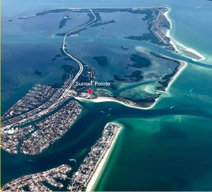 800 collany rd
                                ,Unit 302, saint petersburg,  FL 33715